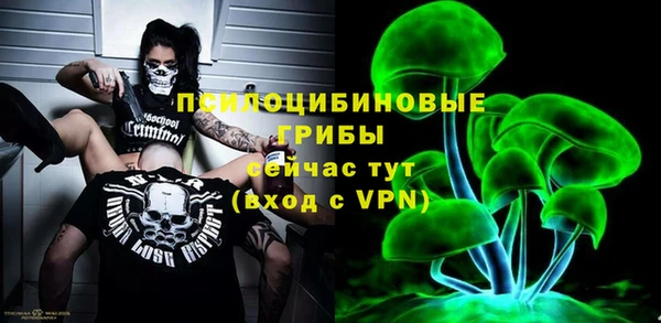 прущий лед Армянск