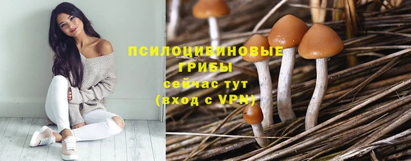 спиды Арсеньев